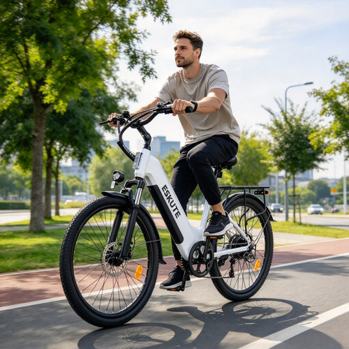 Elektrofahrrad 250w 48v - 250w,