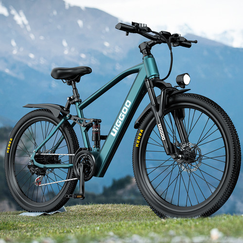 250w zoll elektrofahrrad - zoll,